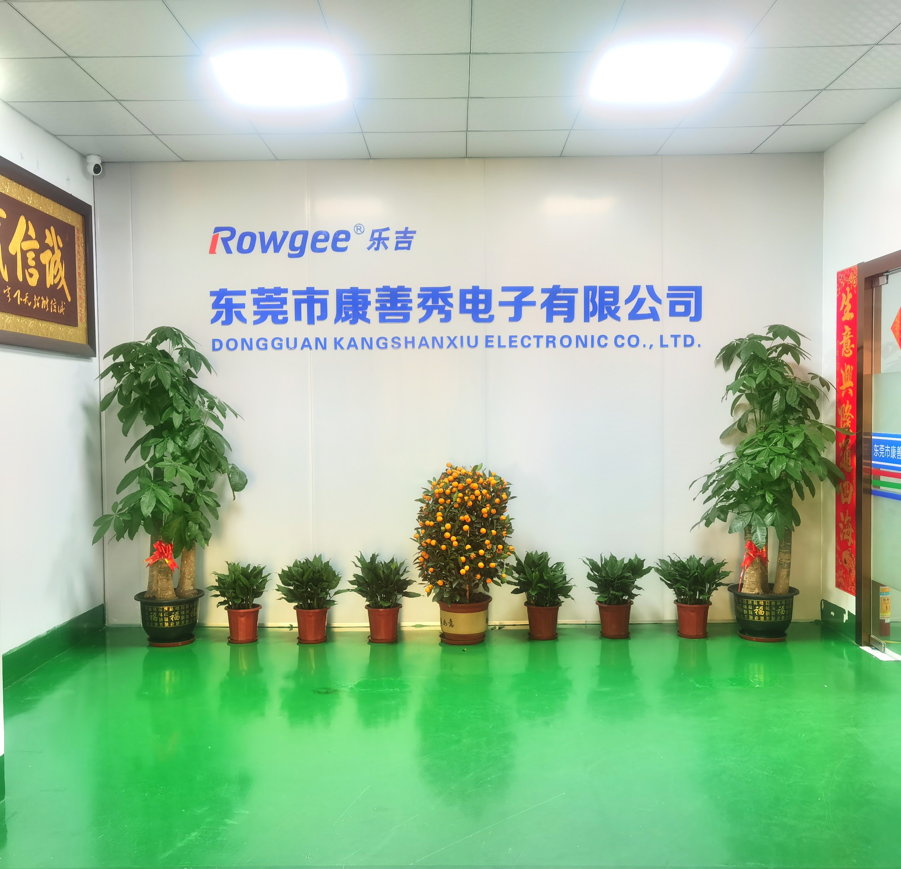Китай Dongguan Kangshanxiu Electronic Co., Ltd. Профиль компании
